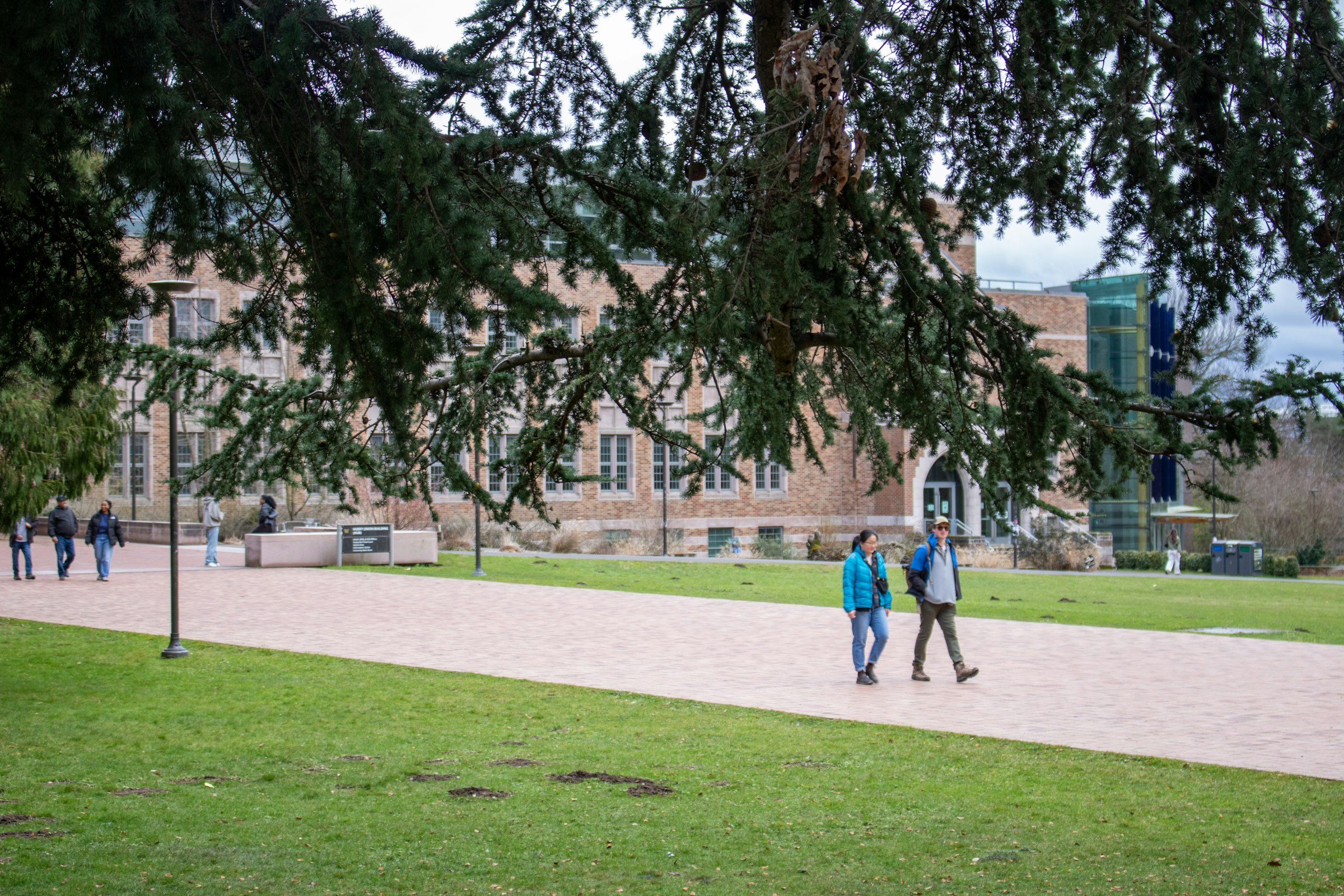Studenti che camminano in un campus universitario internazionale